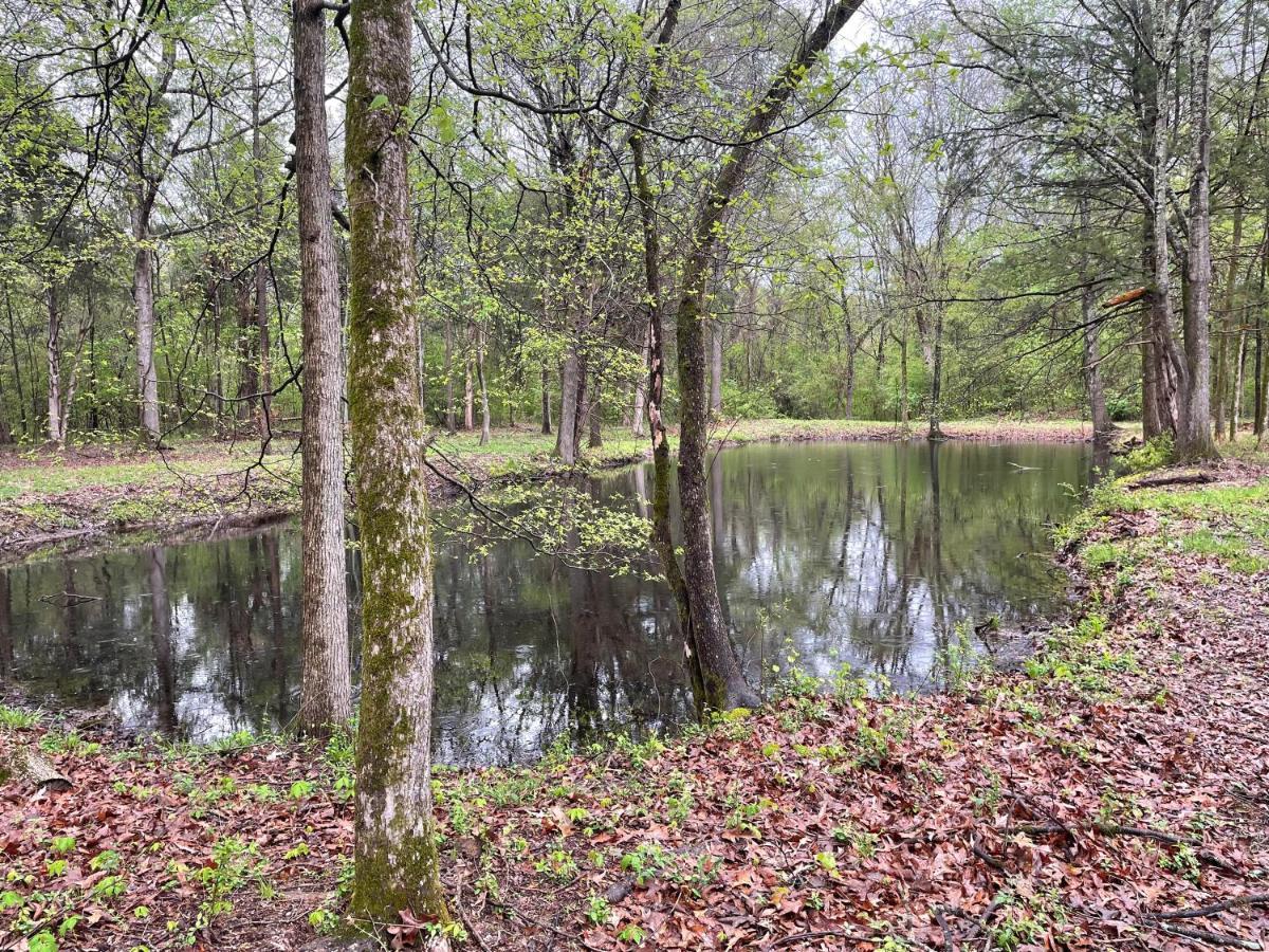 Charming Tiny Home! Close To Oxford, Sardis Lake, Safari Animal Zoo Exterior foto